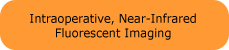 Image button for intraoperative, near-infrared fluorescent imaging