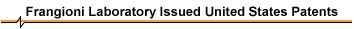 Image button Frangioni laboratory issued United States patents
