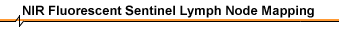 Image button for NIR fluorescent sentinel lymph node mapping